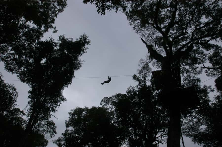 Half-Day Iguazú Forest Adventure - Timing, transfers, and why the 4 hours can feel tighter