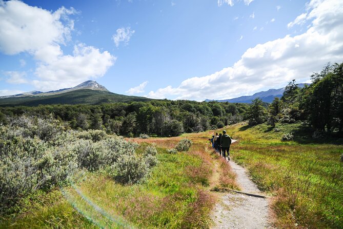 Half-Day Tierra del Fuego National Park with Lunch and Drinks - Inside the park: short trails and smart stops instead of the biggest crowds