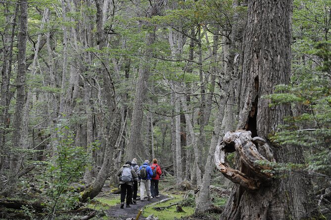 Half-Day Tierra del Fuego National Park with Lunch and Drinks - What the $108 buys you, and what you need to pay separately