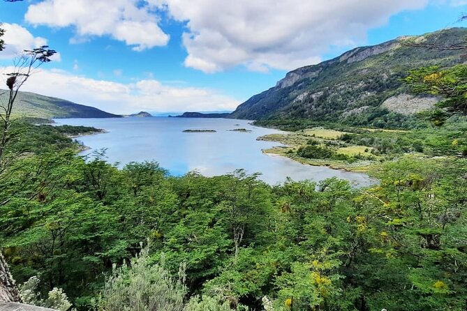 Half-Day Tierra del Fuego National Park with Train - Ushuaia in half a day: what you really get