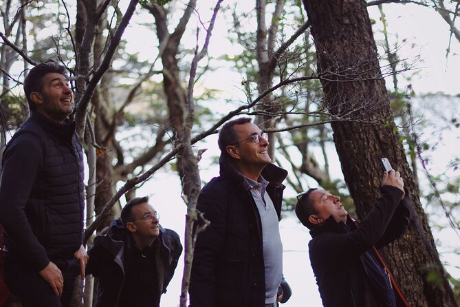 Half-Day Tierra del Fuego National Park with Train - Wildlife expectations: what you should not assume