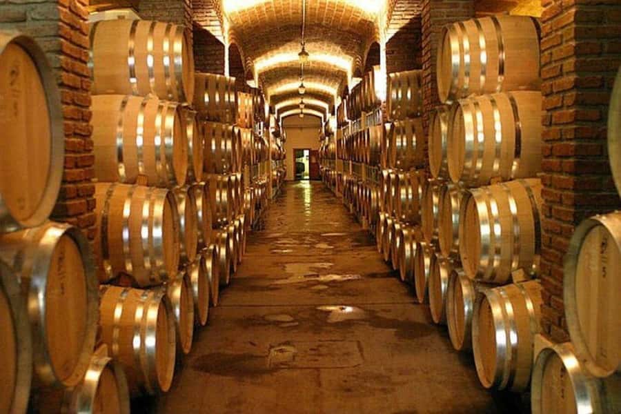 Half Day Tour of Wineries and Olive Oil from Mendoza - Boutique Winery Stops: Tastings Plus Production Lessons at Two Wineries