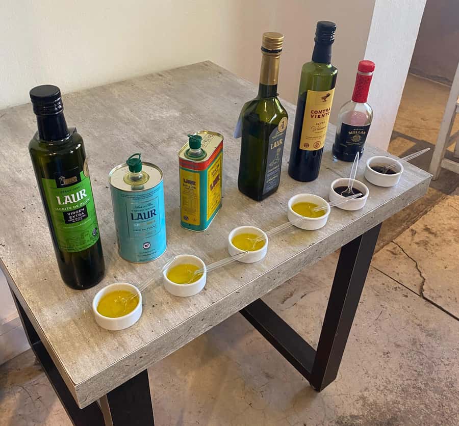 Half Day Tour of Wineries and Olive Oil from Mendoza - Book It or Skip It: My Straight Answer