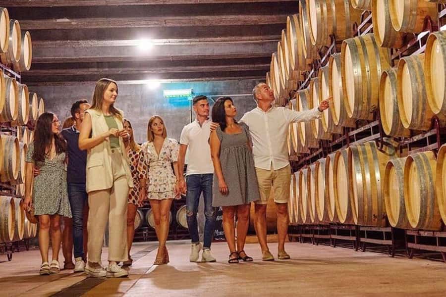Half Day Tour of Wineries and Olive Oil from Mendoza - From Downtown Pickup to Maipú, the Route You Actually Need