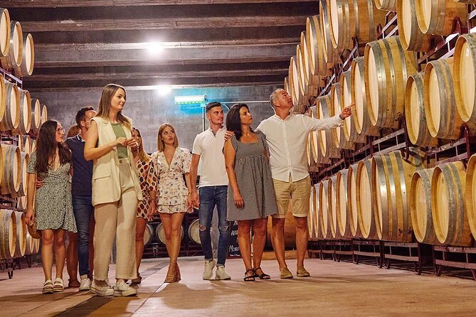 Half Day Tour of Wineries and Olive Oil with Lunch from Mendoza - Key highlights