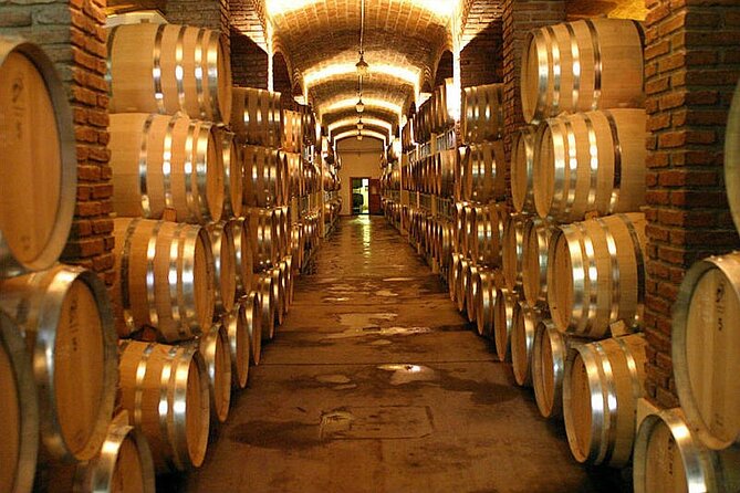 Half Day Tour of Wineries and Olive Oil with Lunch from Mendoza - Why this half-day Mendoza wine and olive oil mix makes sense