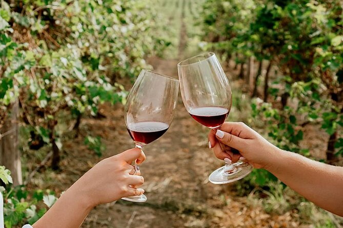 Half Day Tour of Wineries and Olive Oil with Lunch from Mendoza - Lunch is not included, so plan your snack and water strategy
