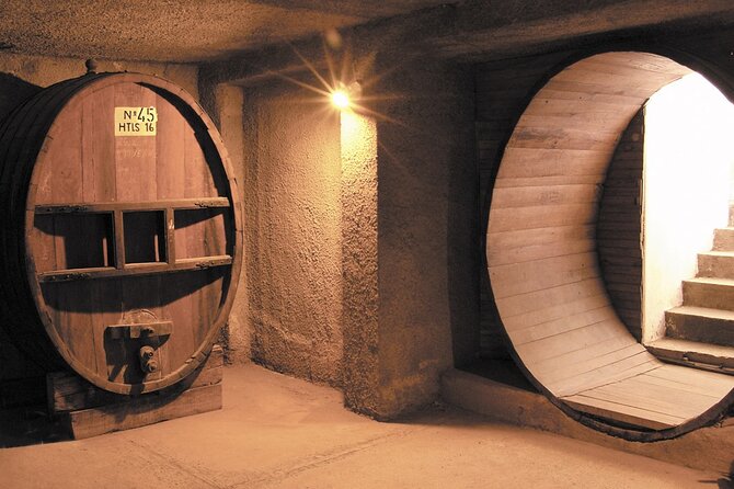 Half Day Tour of Wineries and Olive Oil with Lunch from Mendoza - Paying for souvenirs: cash helps, and credit cards are not always safe