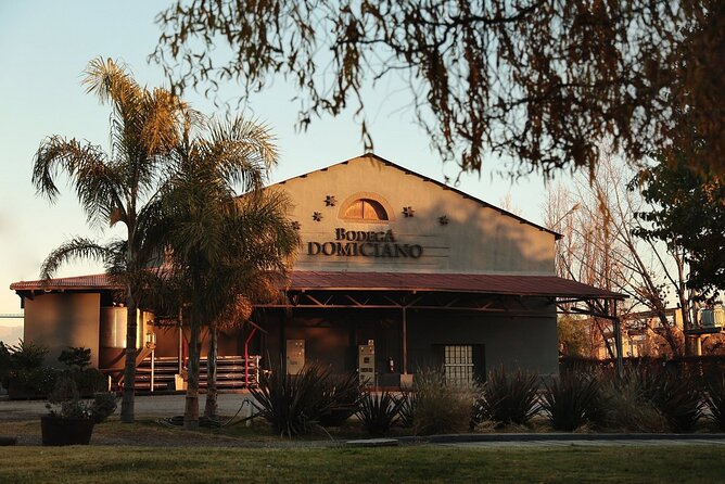 Half Day Tour of Wineries and Olive Oil with Lunch from Mendoza - Price and value: is $100 per person a good deal?
