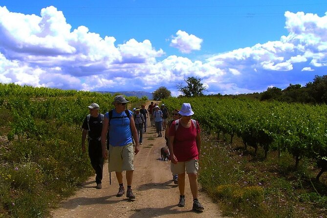 Half Day Tour of Wineries and Olive Oil with Lunch from Mendoza - Picking up in Mendoza, then a short first stop