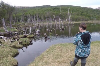 Half Day Tour to Lake Fagnano and Escondido