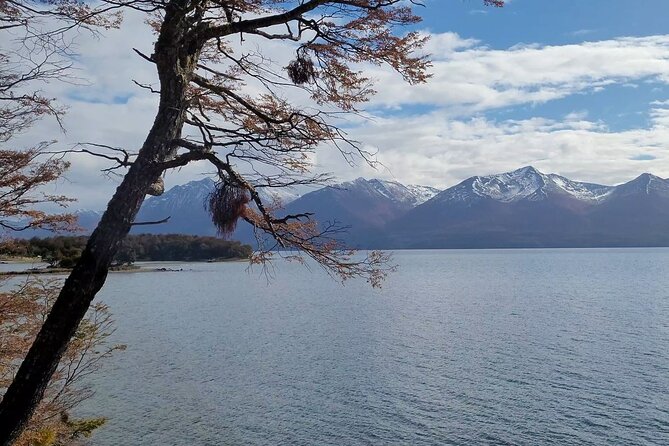 Half Day Tour to Lake Fagnano and Escondido - Who This Tour Fits Best, and Who Might Prefer More Time