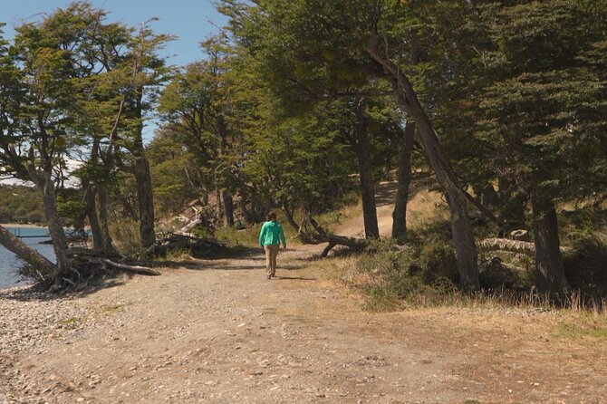 Half Day Tour to Lake Fagnano and Escondido - Tips for a Smooth Experience in Patagonia Weather