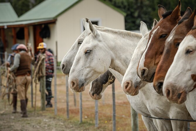 Horse Back Riding Expedition - Quick hits: Estancia Cristina horseback ride plus Upsala Glacier boat time