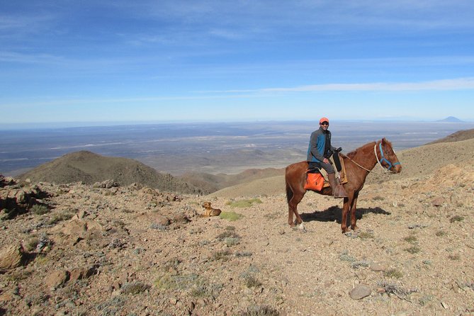 Horseback expedition to The Andes, 3 days - Key Things You’ll Really Notice