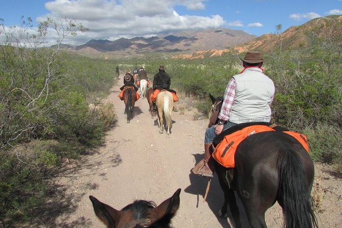 Horseback expedition to The Andes, 3 days - Why This Andes Horseback Trip Feels Different From the Usual Tour