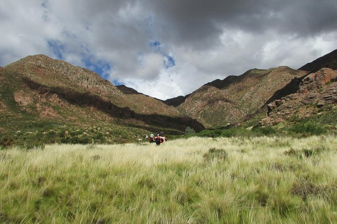 Horseback expedition to The Andes, 3 days - Day 1 From 7:00 am: First Rides, Camp Setup, and Fire-Cooked Comfort