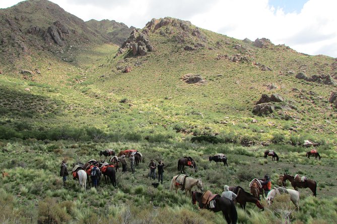 Horseback expedition to The Andes, 3 days - Day 3: Asado Night Energy, an Estancia Stop, and Riding Back With Big-Mountain Memories