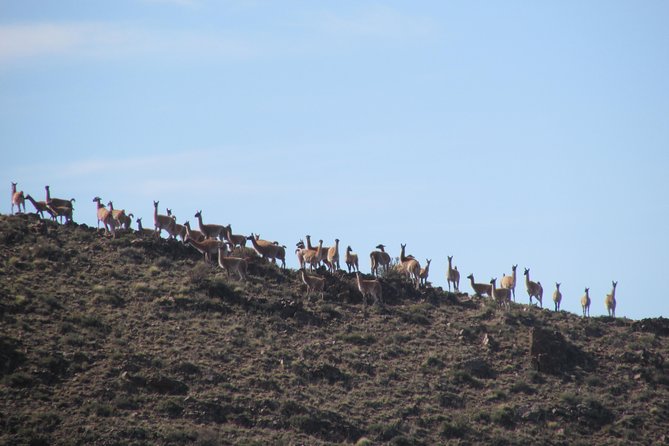 Horseback expedition to The Andes, 3 days - Private Horseback Riding: What It Means in Real Life