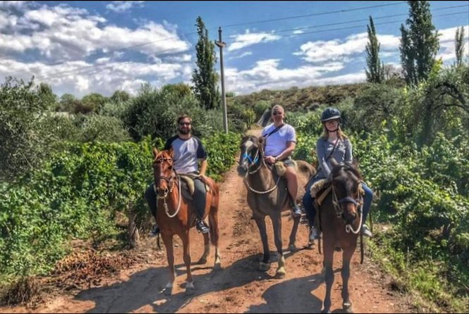 Horseback ride through vineyards followed by gourmet lunch - Price and value, why $210 feels fair for what you get