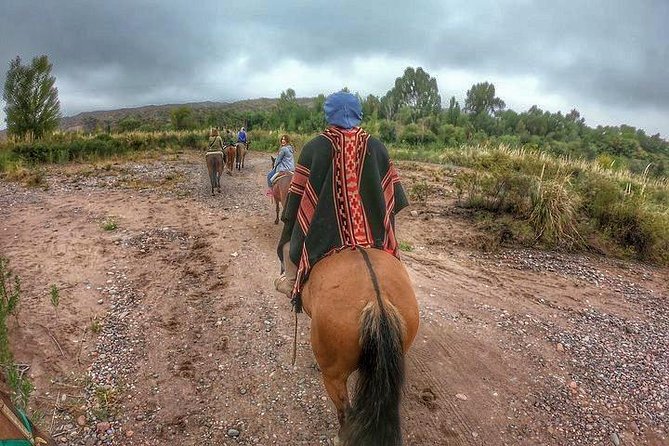 Horseback ride through vineyards followed by gourmet lunch - Lunlunta stables and the 90-minute ride through vines, olives, and the Rio Mendoza