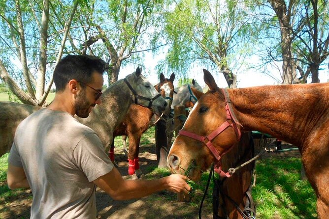Horseback Riding Adventure with Asado in Buenos Aires! - Two Plus Hours on Horseback in Buenos Aires Countryside
