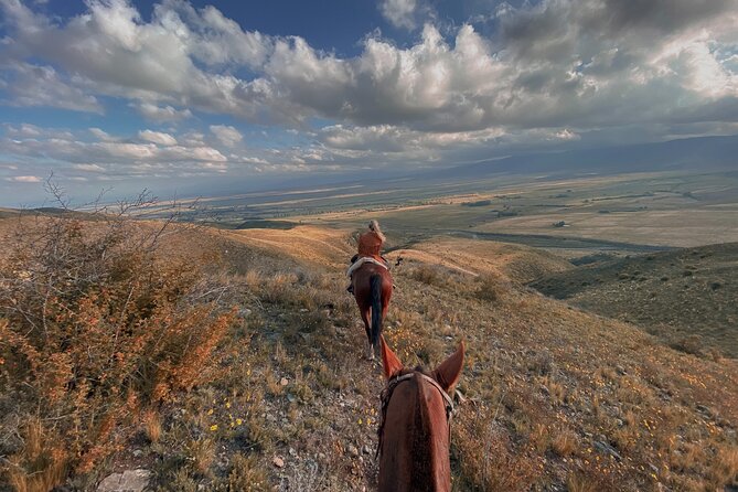 Horseback riding and barbecue in a private ranch - La Carrera, Mendoza - Two and a Half Hours on Creole Horses in Private Ranch Country