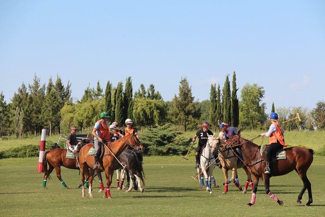 Horseback Riding and Polo in Buenos Aires - Key highlights worth knowing