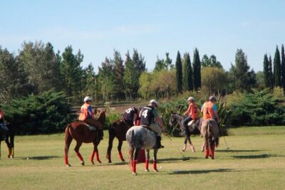 Horseback Riding and Polo in Buenos Aires