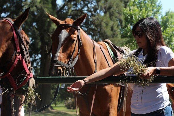 Horseback Riding and Polo in Buenos Aires - How the day’s structure supports both beginners and advanced riders