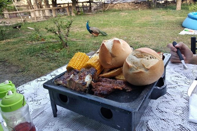 Horseback riding and roast in the mountains of Mendoza - The 2000-meter viewpoint stop that makes the whole ride click