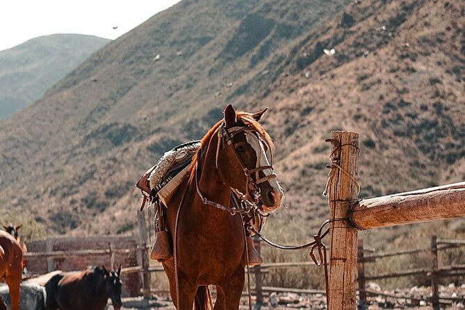 Horseback riding at sunset - Getting to Gaucho Estate: Transportation and Timing Around Sunset