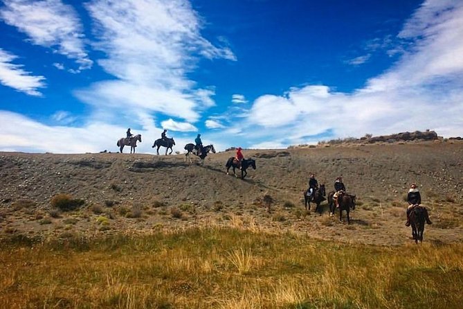Horseback riding in Calafate - Horses, comfort, and the safety question you should ask