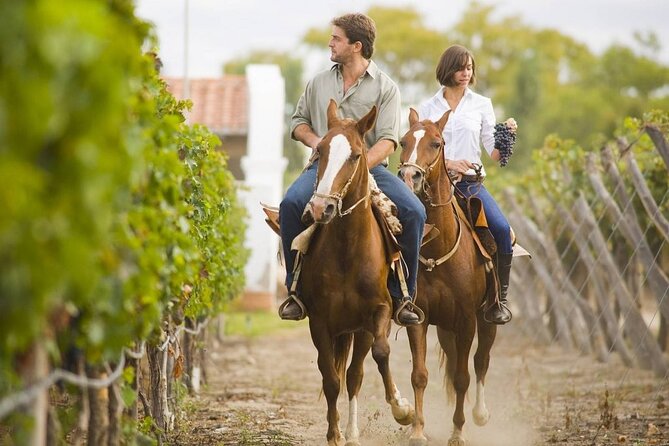 Horseback Riding in Mendoza through the vineyards and river with optional Asado. - Key highlights you will feel fast