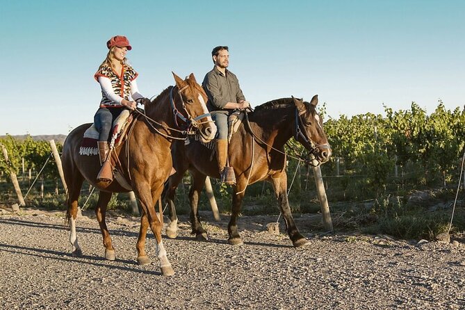 Horseback Riding in Mendoza through the vineyards and river with optional Asado. - The first riding phase: vineyard alleys to countryside views