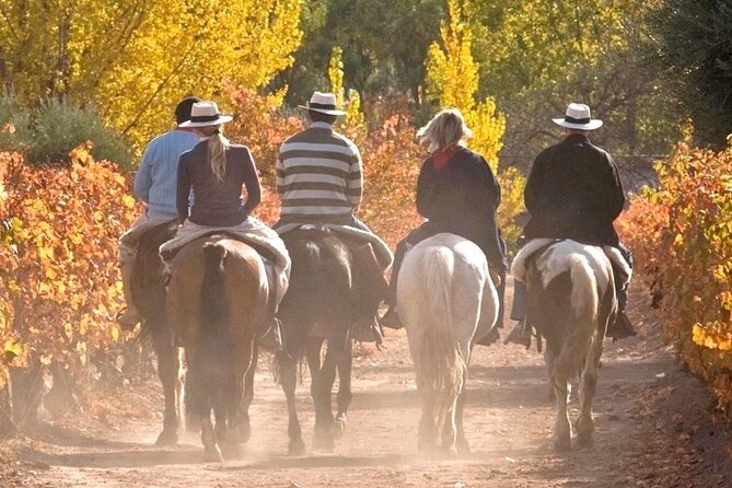 Horseback Riding in Mendoza through the vineyards and river with optional Asado. - Start at the ranch in Lunlunta, where vines are the centerpiece