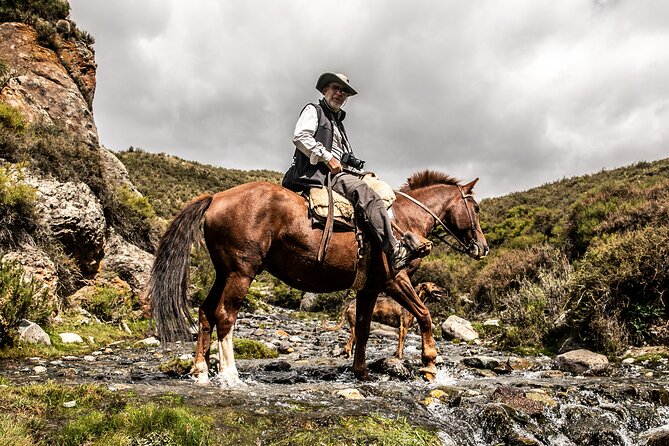 Horseback Riding in the Andes, gaucho experience & BBQ - A Real Gaucho Day Around Mendoza, Not a Drive-By Tour