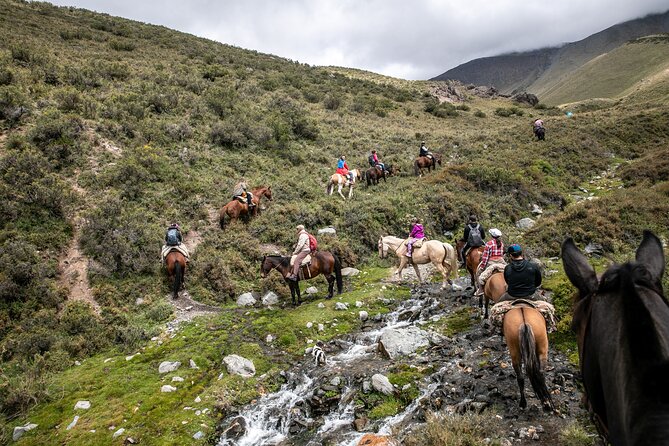 Horseback Riding in the Andes, gaucho experience & BBQ - Mate, Tortas Fritas, and the Moment You Meet the Horses