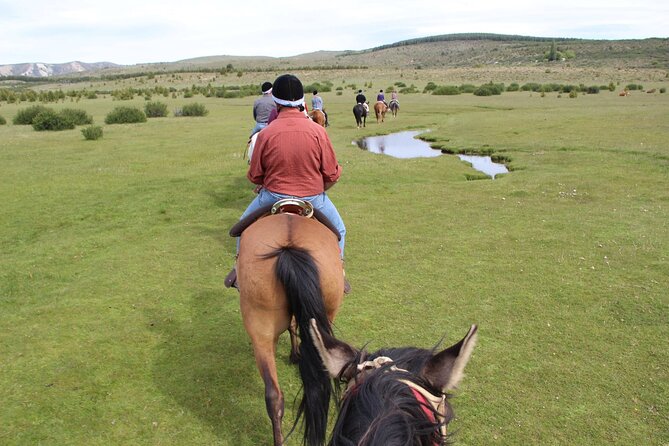 Horseback Riding with Asado in San Carlos de Bariloche, Argentina - Key Highlights You Should Know