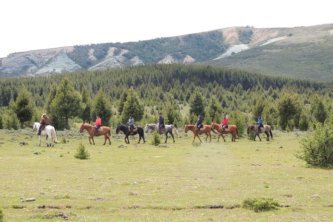 Horseback Riding with Asado in San Carlos de Bariloche, Argentina - Getting To Esandi and Ruta 40, Then Following the Guide