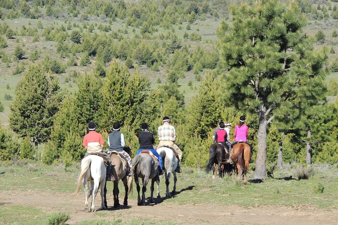 Horseback Riding with Asado in San Carlos de Bariloche, Argentina - Price and Value: $308.39 That Includes the Meal, Drinks, and Guide