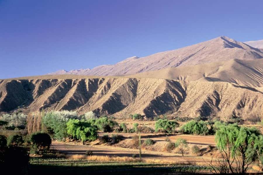 Humahuaca Valley Multicultural Tour from Salta - Why this Humahuaca Valley tour is so satisfying