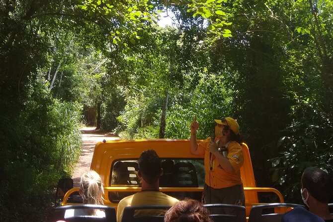 Iguazu Falls: Argentinian Side with Boat Ride, Jungle-truck and Train - Price and Value: What $149 Covers, and What You Still Must Budget