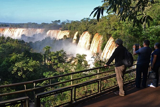 Iguazu Falls: Argentinian Side with Rainforest Ecological Train - Key things to know before you go