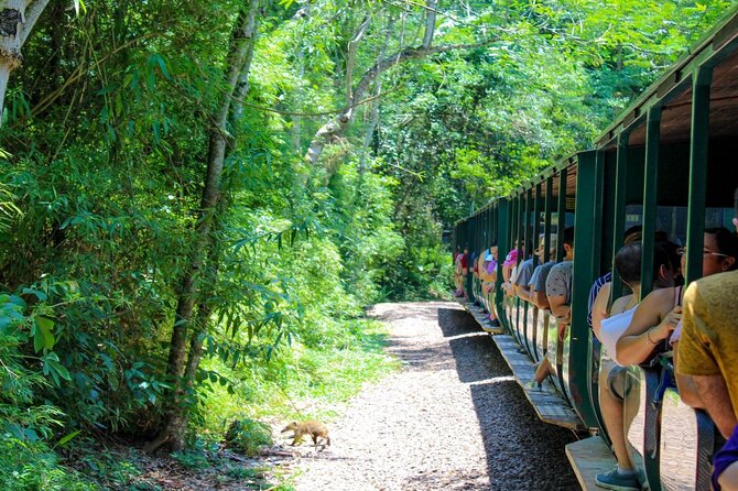 Iguazu Falls: Argentinian Side with Rainforest Ecological Train - Why the Argentinian side and the Rainforest Ecological Train fit this day