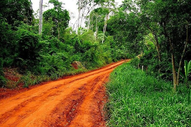 Iguazu Falls: Argentinian Side with Rainforest Ecological Train - Price and value: what $35 covers, and what to budget extra for