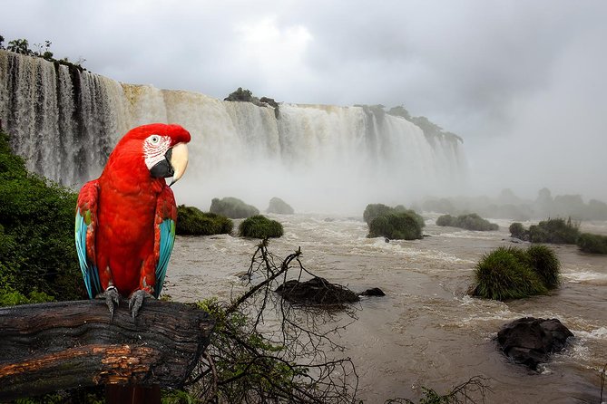 Iguazu Falls Brazilian side - Brazilian-Side Iguazu: Why This Side Makes Sense