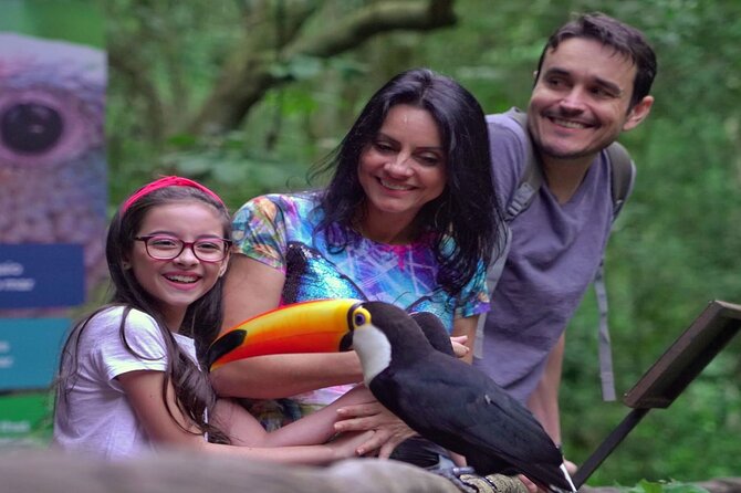 Iguazu Falls Brazilian Side & Bird Park from Puerto Iguazu - Key things I’d prioritize on this tour