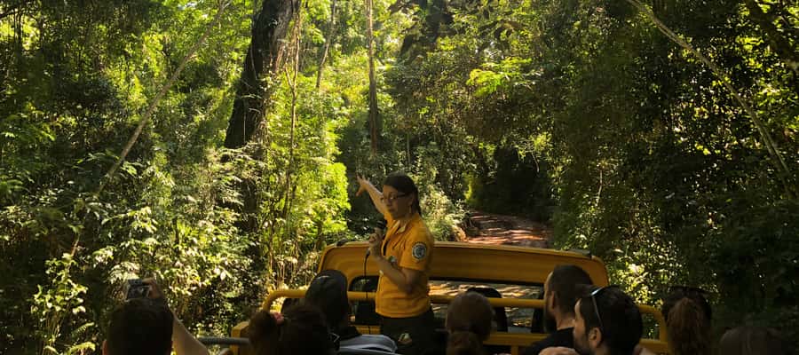 Iguazu Falls: Gran Aventura Boat and Argentinian Falls Tour - The jungle 4x4 ride, adrenaline beyond the falls