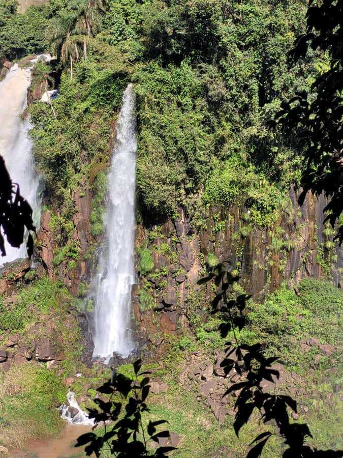 Iguazu Falls: Guided Tour in Argentinean Side - Upper Trail (2 km): panorama first, then viewpoint variety